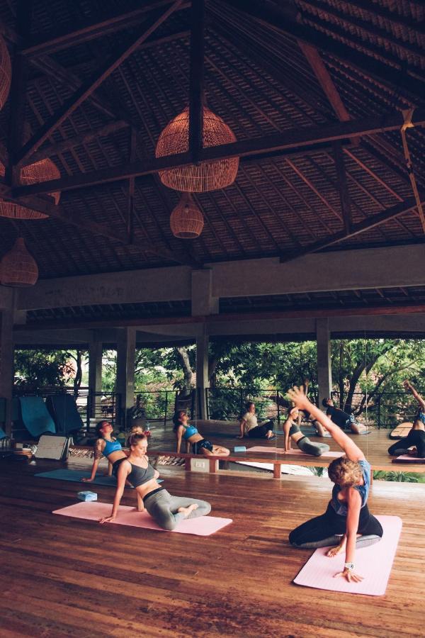Endless Summer Surf Camp Kuta Кута Екстер'єр фото